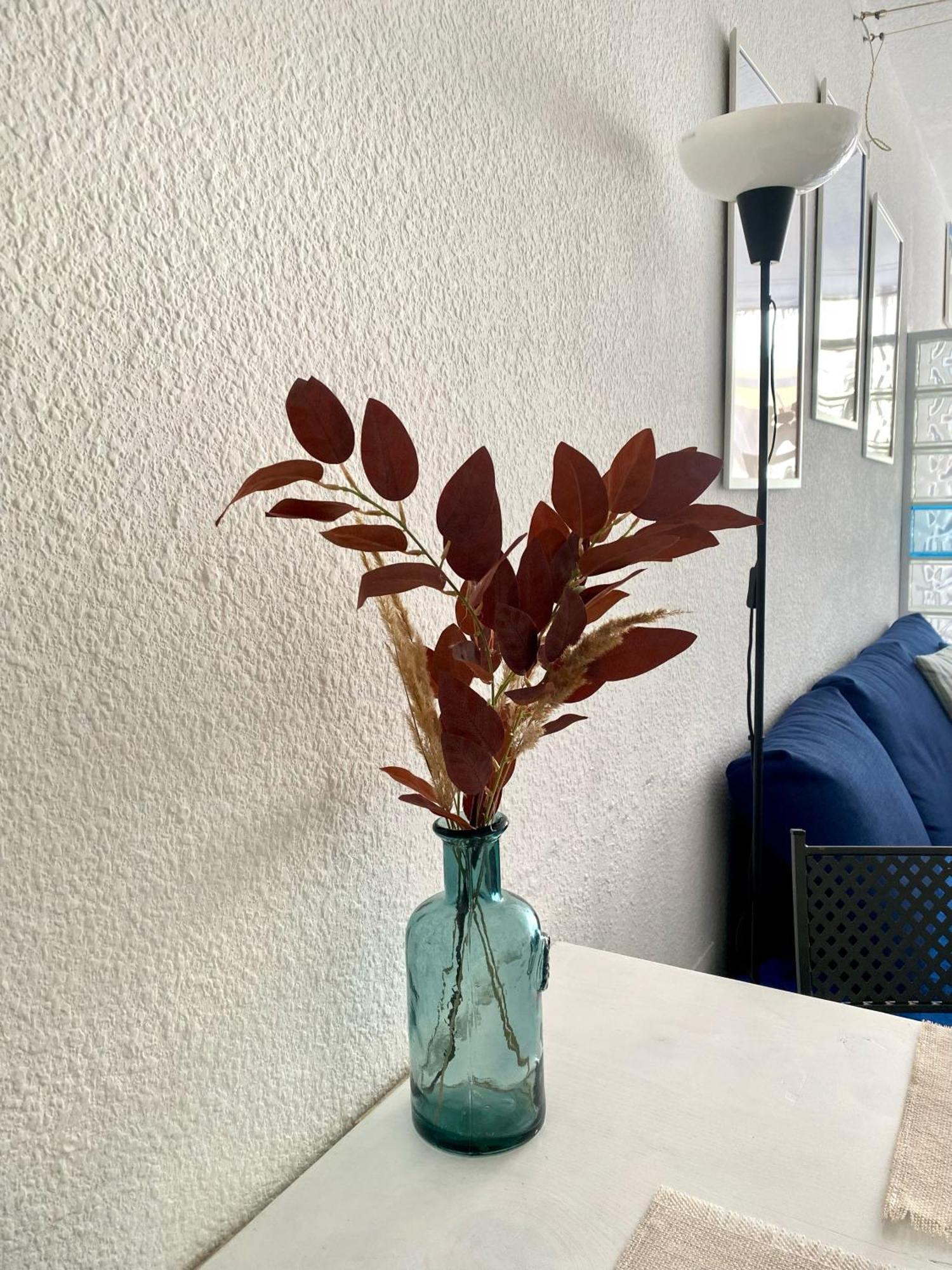 Arcadia Del Mar Apartment 科拉雷侯 外观 照片